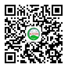 中基优化.png